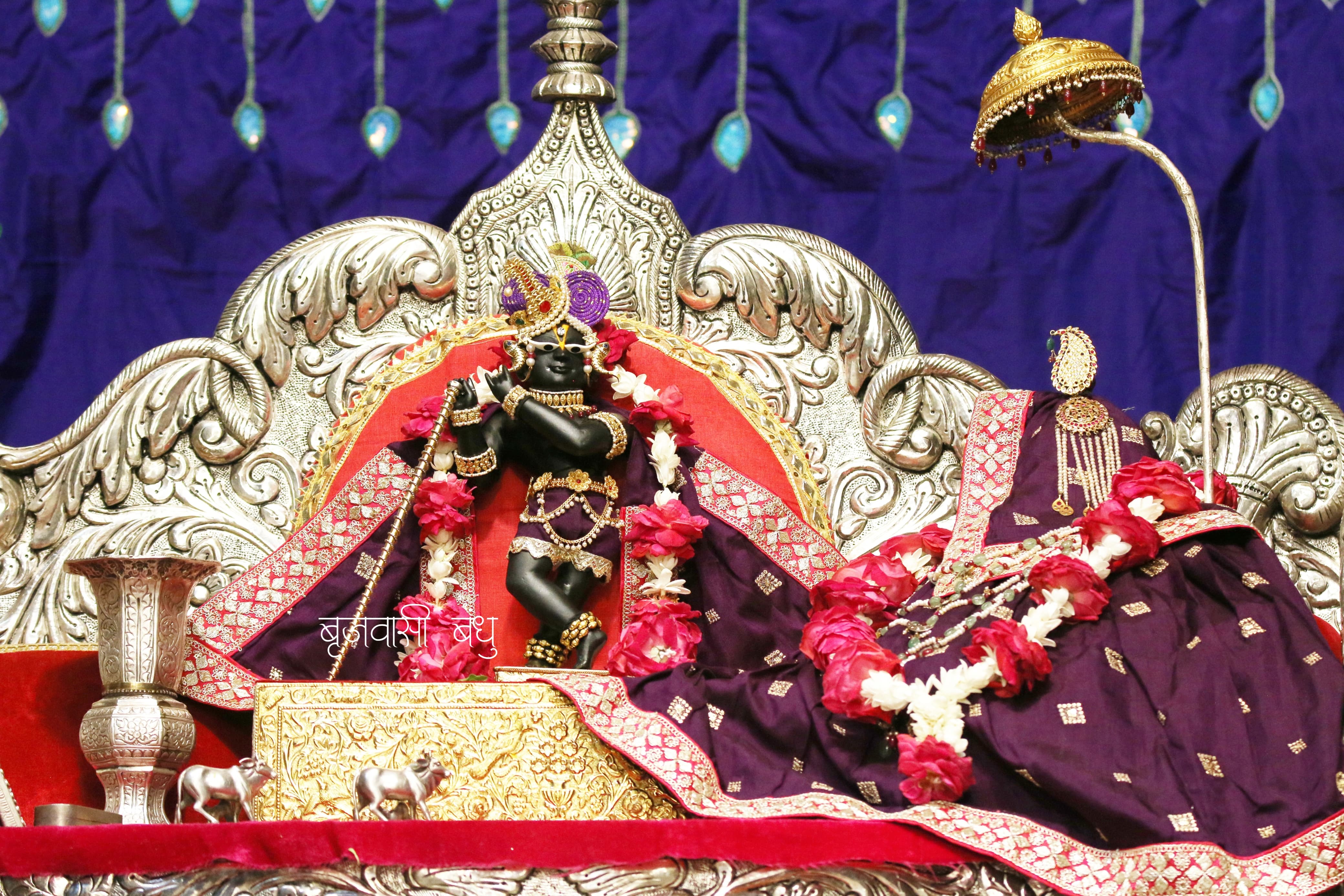 Immerse Yourself in the Divine Presence at Shri Radha Raman Ji Temple in Vrindavan